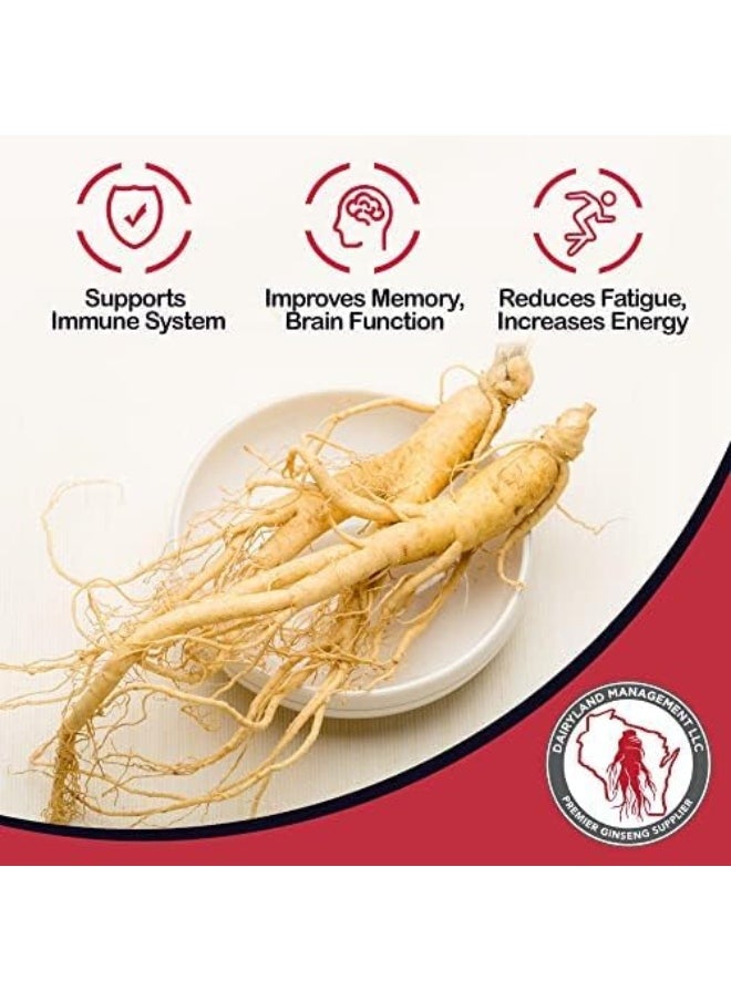 Dairyland Management LLC Tienchi Ginseng, Notoginseng, Capsule 500mg Potent Ground Ginseng Root - No Fillers, Binders or Other Additives