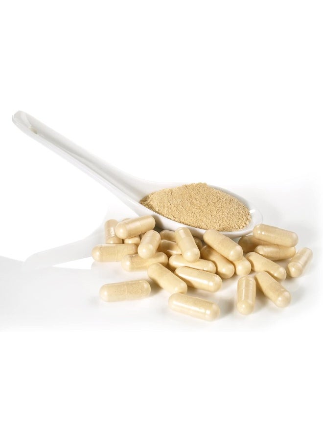 Dairyland Management LLC Tienchi Ginseng, Notoginseng, Capsule 500mg Potent Ground Ginseng Root - No Fillers, Binders or Other Additives