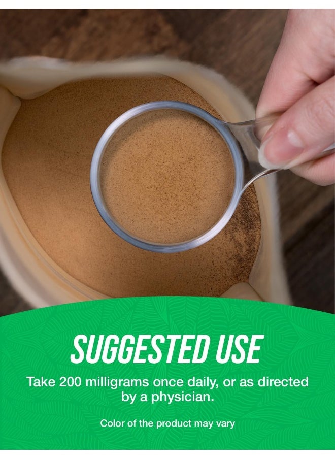 BULKSUPPLEMENTS.COM Ginkgo Biloba Extract Powder