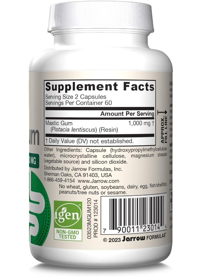 Jarrow Formulas Mastic Gum 1000 mg - 120 Veggie Caps