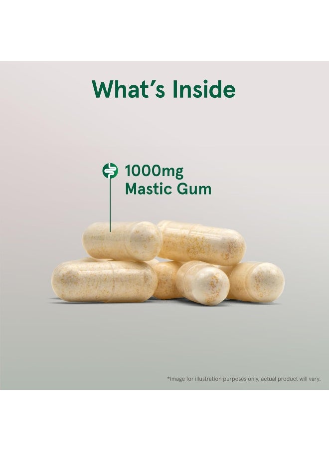 Jarrow Formulas Mastic Gum 1000 mg - 120 Veggie Caps