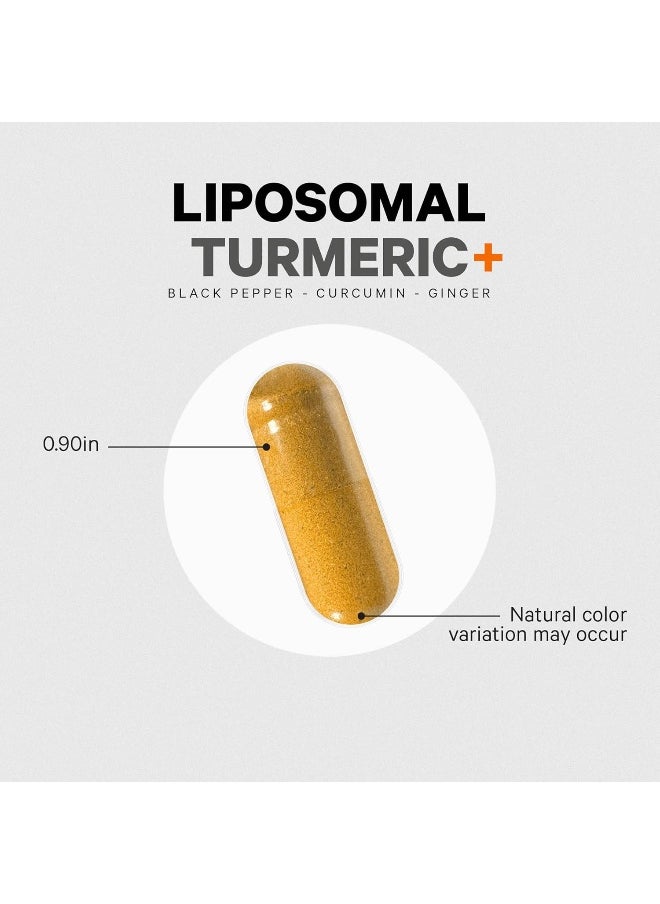 Fermented Turmeric Supplement, Extra Strength Curcumin Infused with Organic Essential Oil and Digestive Bitters, Joint and Heart Health, 90 Capsules