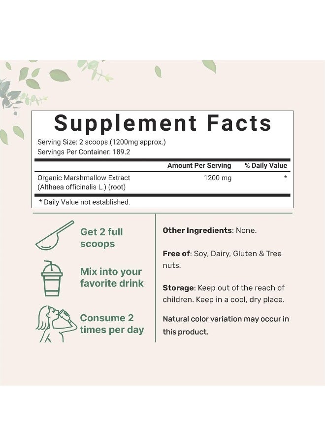 Pure USDA Organic Marshmallow Root Powder, 4 Ounce, Supports Digestive Gastrointestinal Health, No Irradiated, No Contaminated and No GMOs. Vegan Friendly.