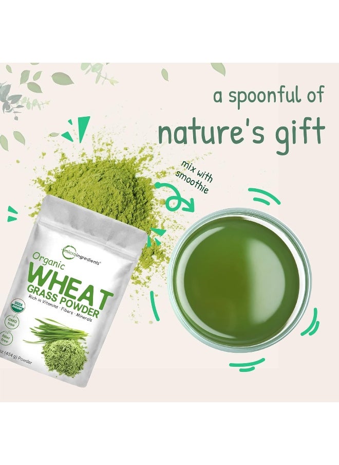Micro Ingredients Sustainably US Grown, Organic Wheat Grass Powder (100% Whole-Leaf), 16 Ounce, Rich in Immune Vitamins, Fibers and Minerals, Support Digestion Function, Vegan Friendly