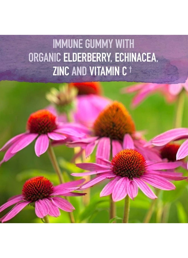 Garden of Life Mykind Organics Elderberry 120ct Gummies