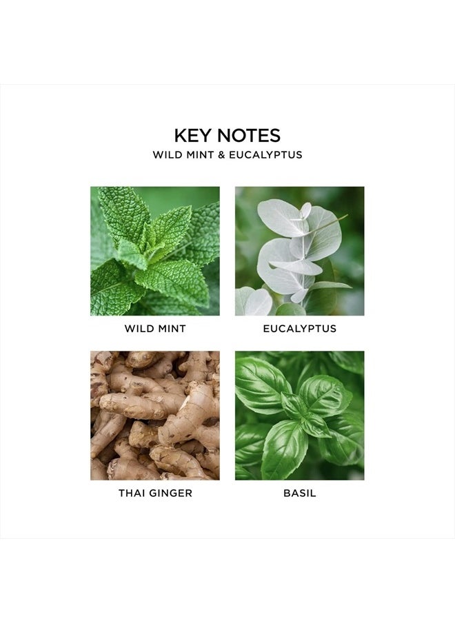 NEST Fragrances Wild Mint & Eucalyptus Wall Diffuser Refill, Set of 2