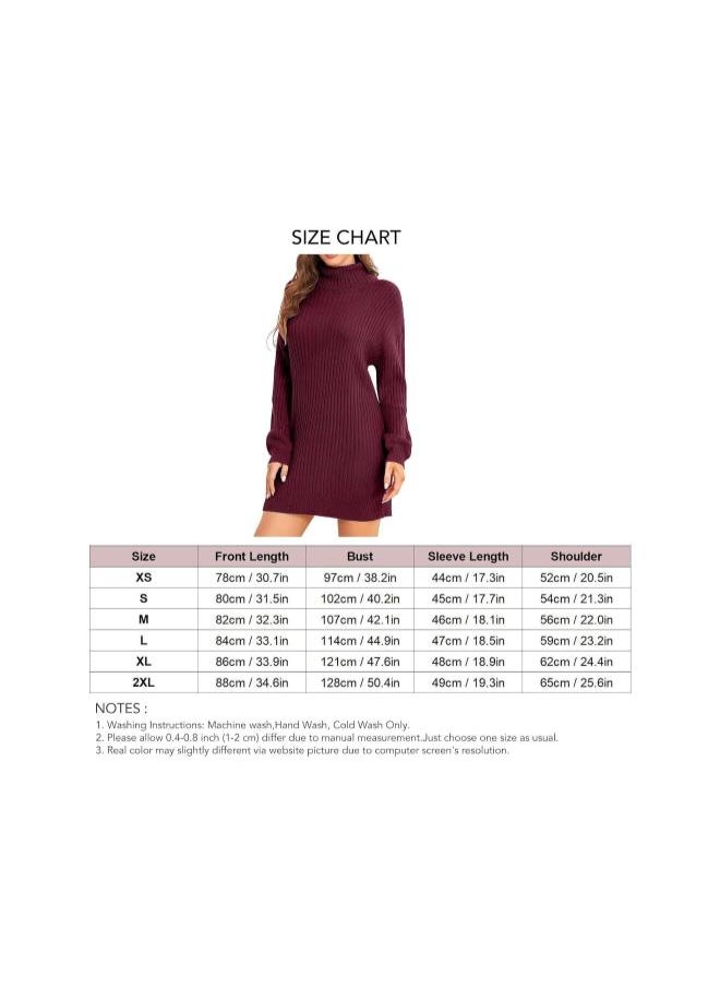 Women's Turtleneck Sweater Dress Fall Winter Knit Pullover Knitted Casual Dresses with Long Lantern Sleeve