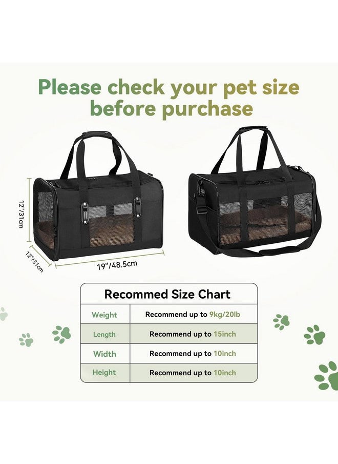 Petsfit 19x12x12 Pet Carrier for Large Cats (up to 20 lbs), Soft-Sided Small Dog Travel Carrier, Upgraded with Patented Buckle and Soft Padding, Ideal for Car Road Trips,Black
