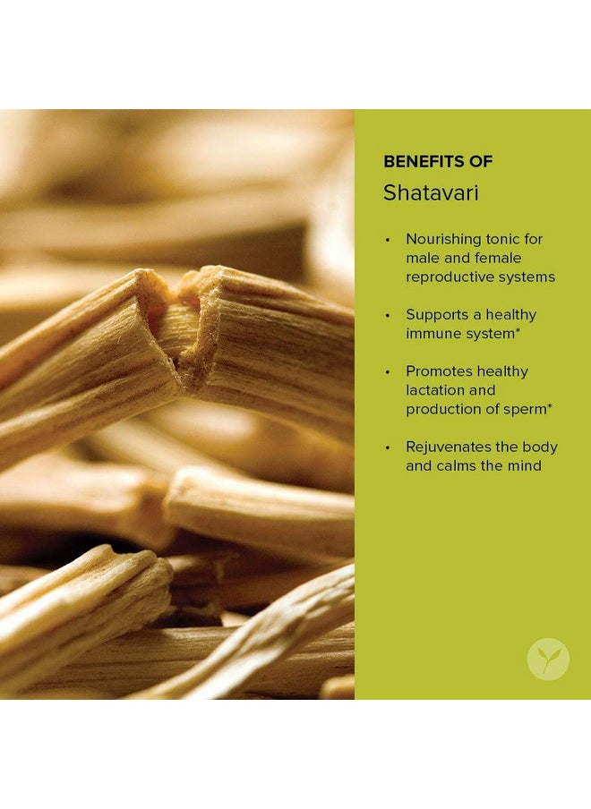 Banyan Botanicals Organic Shatavari Powder - Asparagus racemosus - Ayurvedic Herb for Vata & Pitta, Balanced Female Hormones, Energy & More* - Spice Jar - Non-GMO Sustainably Sourced Vegan FFL