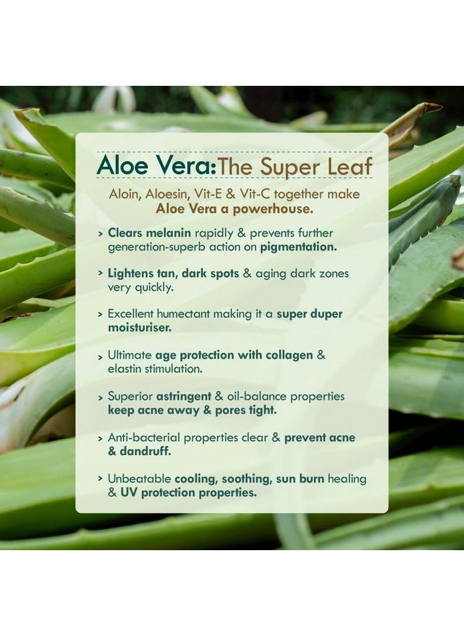 Nat Habit Active Face Gel, Aloe Cactus Hydra Lift For Rapid Hydration Boost & Moisture Lock With Cooling, Soothing, SunBurn Healing & UV Protection, 50gm