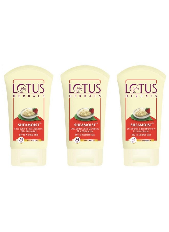 Lotus Herbals Shea Butter and Real Strawberry 24 Hour Moisturiser Cream (60g) x Pack of 3