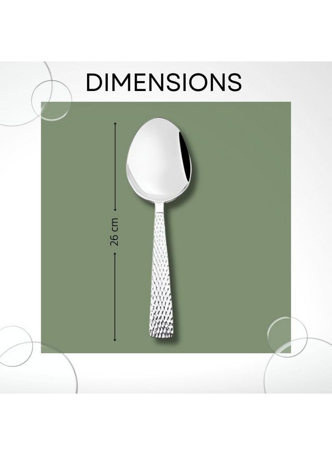FnS Madrid Large Hammer Finish on Handle Serving Spoon for Dining Table and Kitchen