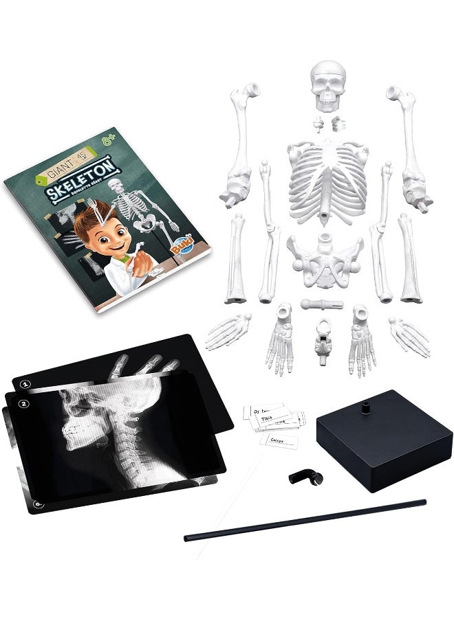 BUKI Giant Skeleton Kit (45 cm)