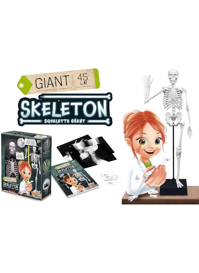 BUKI Giant Skeleton Kit (45 cm)