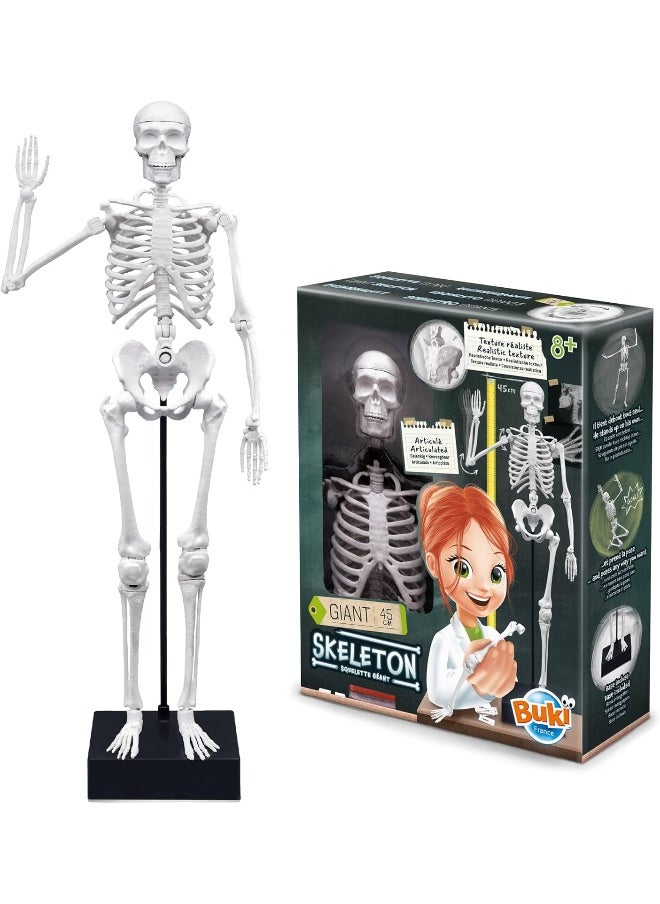 BUKI Giant Skeleton Kit (45 cm)