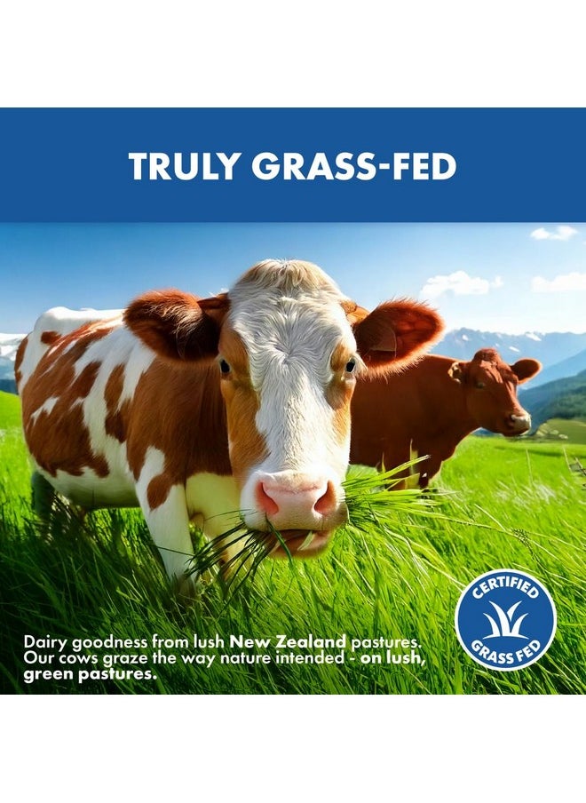 Opportuniteas Grass Fed Whey Protein Powder Concentrate - Chocolate - Pure Protein Supplement - Non GMO, Hormone Free & Gluten Free - 1lb