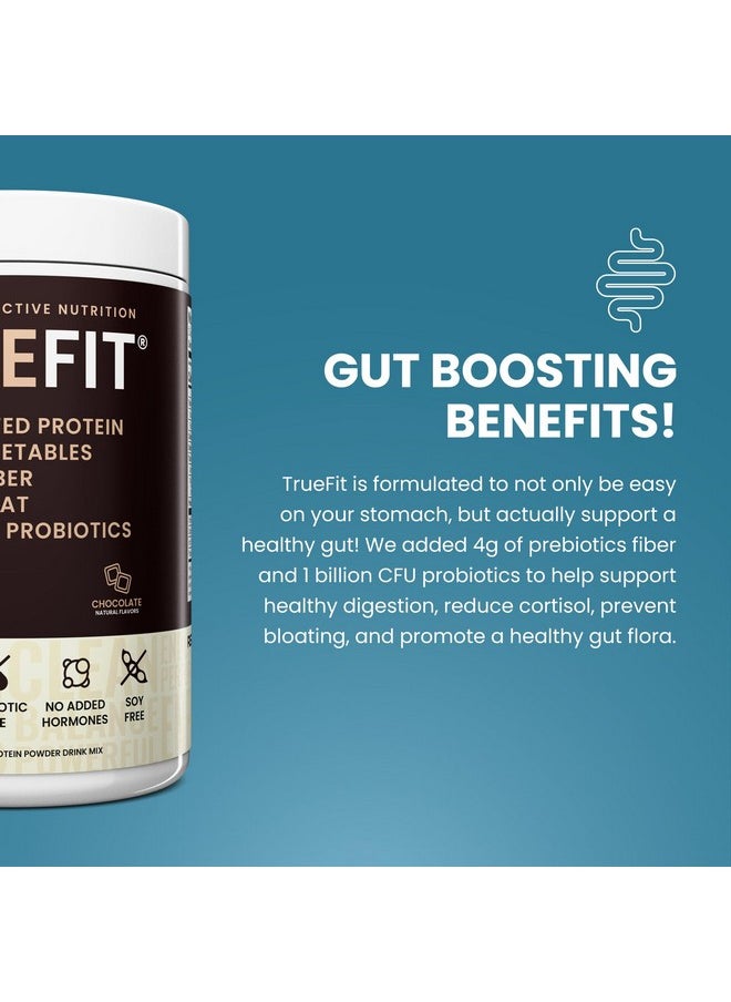TrueFit Gut Healthy Protein Powder, Grass-Fed Whey Meal Replacement Shake with Prebiotics, Probiotics, & Organic Superfoods, Keto Friendly, Gluten Free