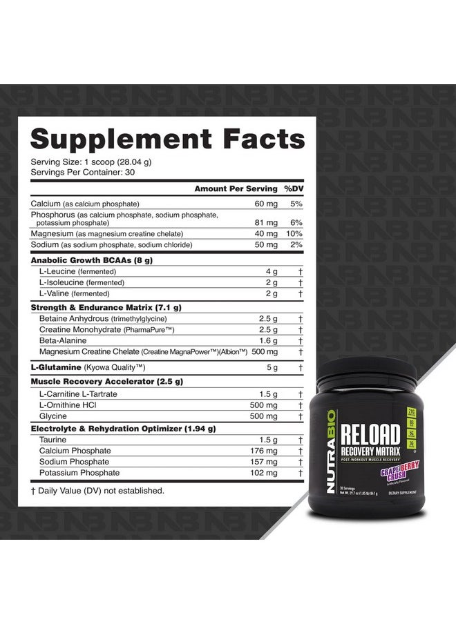 NutraBio Reload - Powerful Muscular Recovery Formula - Post-Workout Supplement - 3G Creatine - 8G BCAAs - 5G Glutamine - 30 Servings, Grape Berry Crush