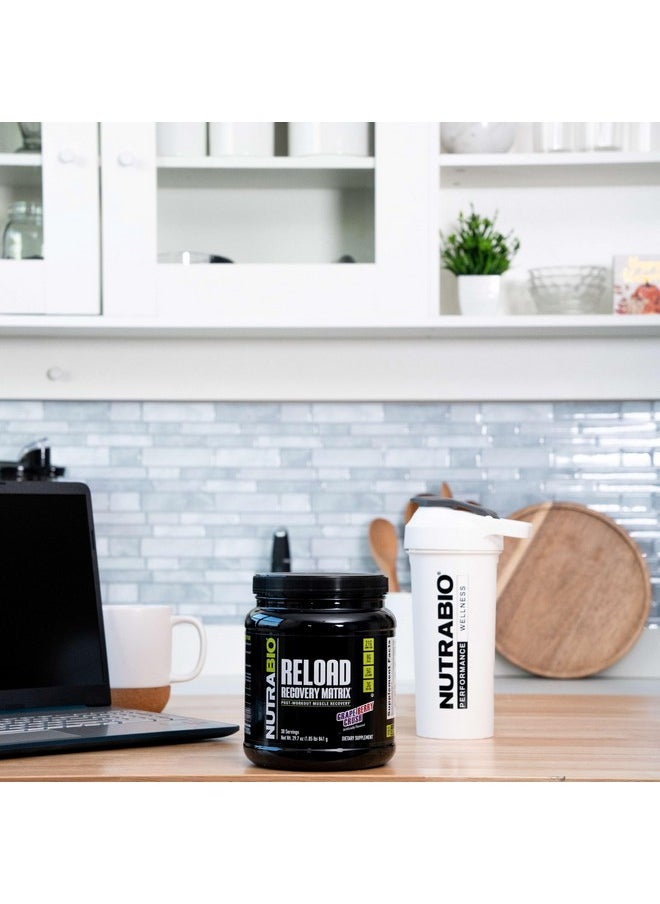 NutraBio Reload - Powerful Muscular Recovery Formula - Post-Workout Supplement - 3G Creatine - 8G BCAAs - 5G Glutamine - 30 Servings, Grape Berry Crush