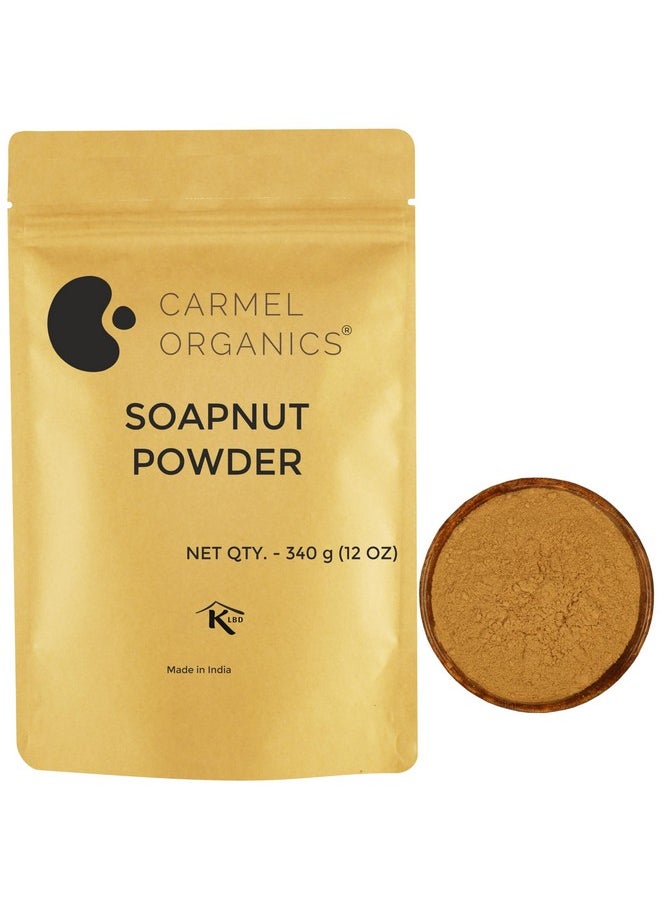CARMEL ORGANICS Soapnut/Aritha/Reetha Powder 340 Grams For Hair Care | Natural | No Added Preservatives and Additives | Sapindus Mukorossi Powder, Antuvala pudi/Kunkudukaya Podi
