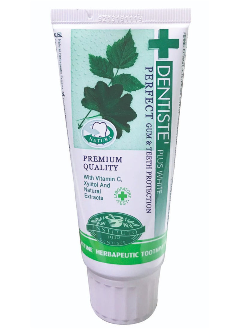 DENTISTE' Plus White Fluoride Free Herbal Toothpaste with Xylitol Tube 100g