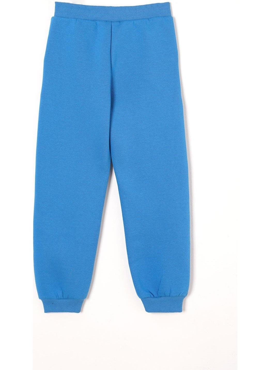 Hooded Long Sleeve Text Printed Saxe Color Boy Tracksuit Set