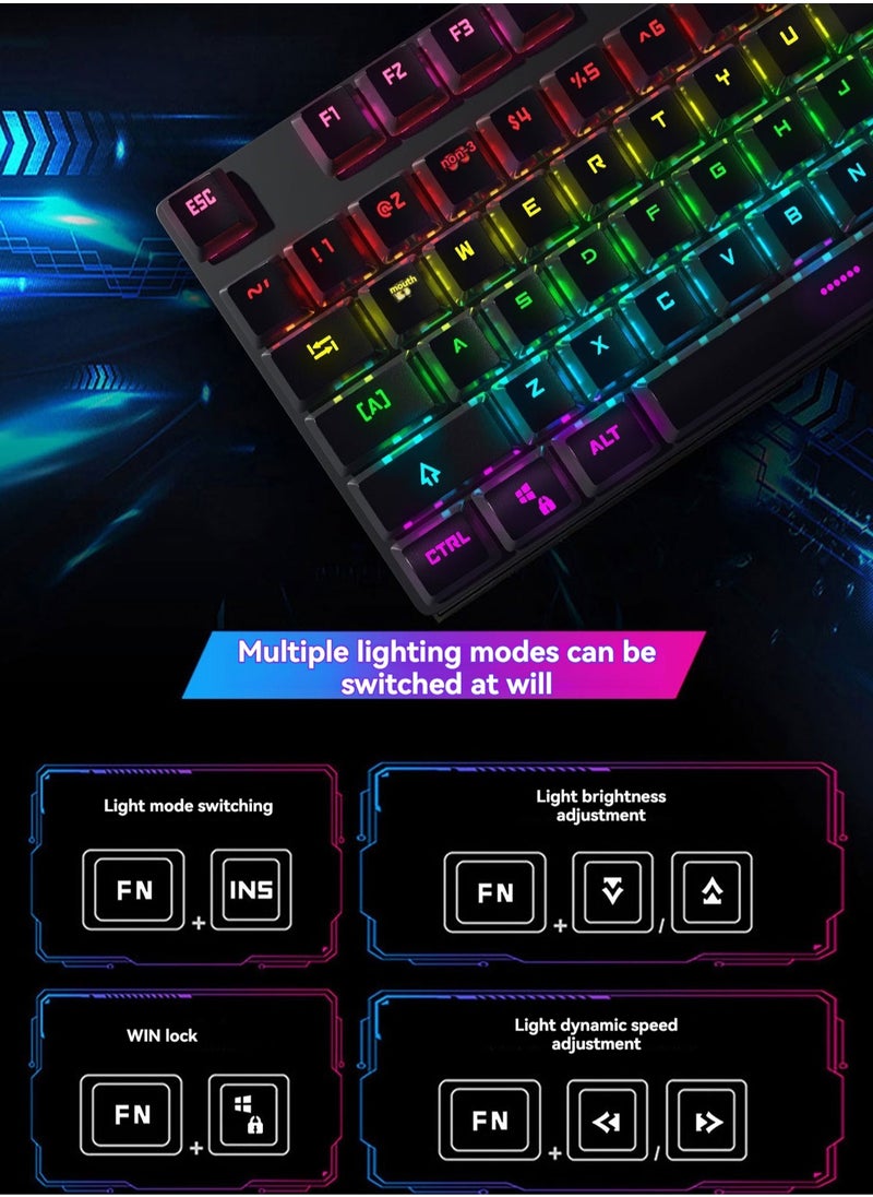 Wired Mechanical Keyboard RGB Luminous Backlight 104 Keys Keyboard Suitable For Gaming,E-Sports,Study,Work (WhiteGreen)