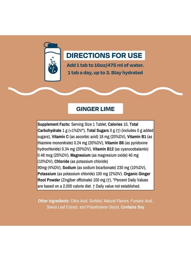 Drinklits Ginger-Lime Daily Hydration Tablets | Made With Organic Ginger - 0G Sugar - Travel Essential Electrolytes