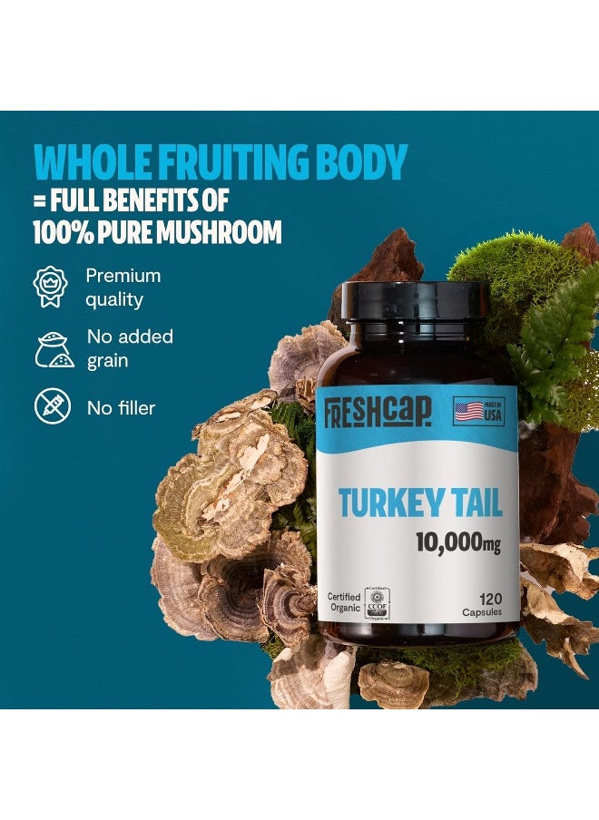 FreshCap Mushrooms Turkey Tail Capsules, Powerful Immune Support (35% Beta-glucan), 120 Count (2 Month Supply), Organic, Daily Supplement, Fruiting Body Extract