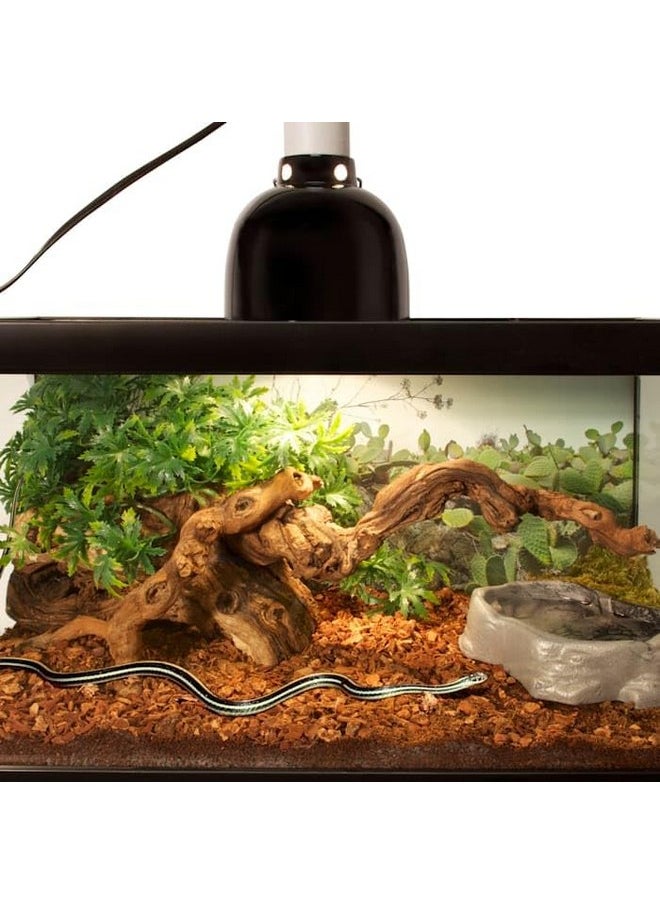 Zoo Med Premium Reptile Bark