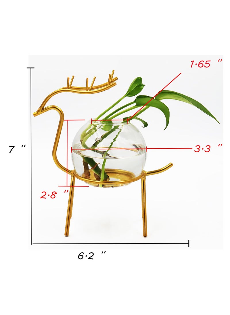 Air Plant Terrarium with Metal Stand for Desktop - Glass Vase for Indoor Hydroponics, Ideal for Home Garden and Office Decor