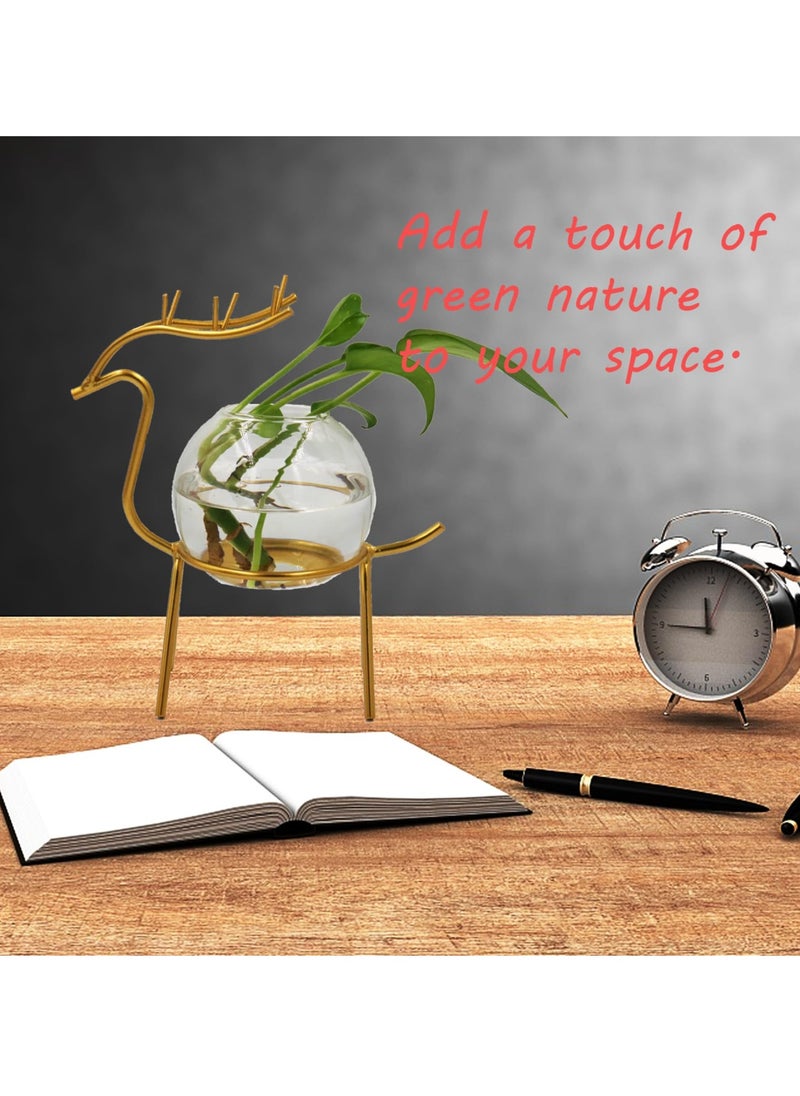 Air Plant Terrarium with Metal Stand for Desktop - Glass Vase for Indoor Hydroponics, Ideal for Home Garden and Office Decor