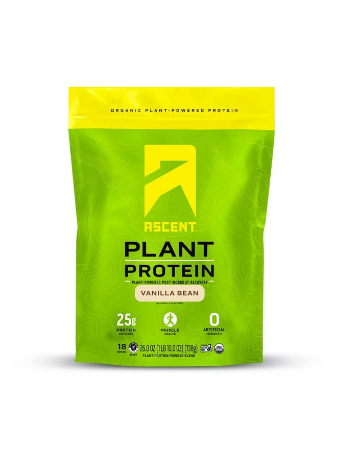 Ascent Plant Based Protein Powder - Non Dairy Vegan Protein, Zero Artificial Ingredients, Soy & Gluten Free, No Added Sugar, 4G Bcaa, 2G Leucine - Vanilla, 20 Servings