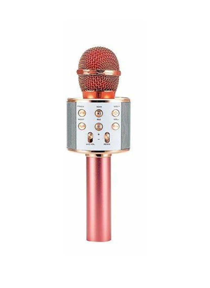 Dat Wireless Microphone With Speaker WS-858 Assorted