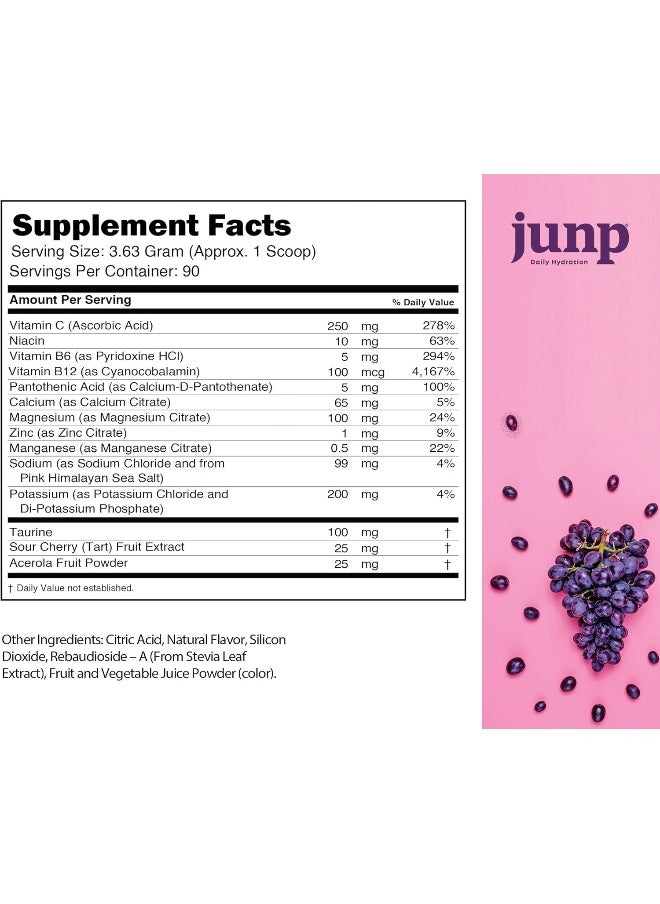 JUNP Electrolytes Powder No Sugar No Carbs – Vine Ripened Grape Keto Electrolyte Drink Mix - Potassium & Salt Hydration Powder Electrolytes Zero Calorie Sugar Free Electrolyte Powder, 90 Servings