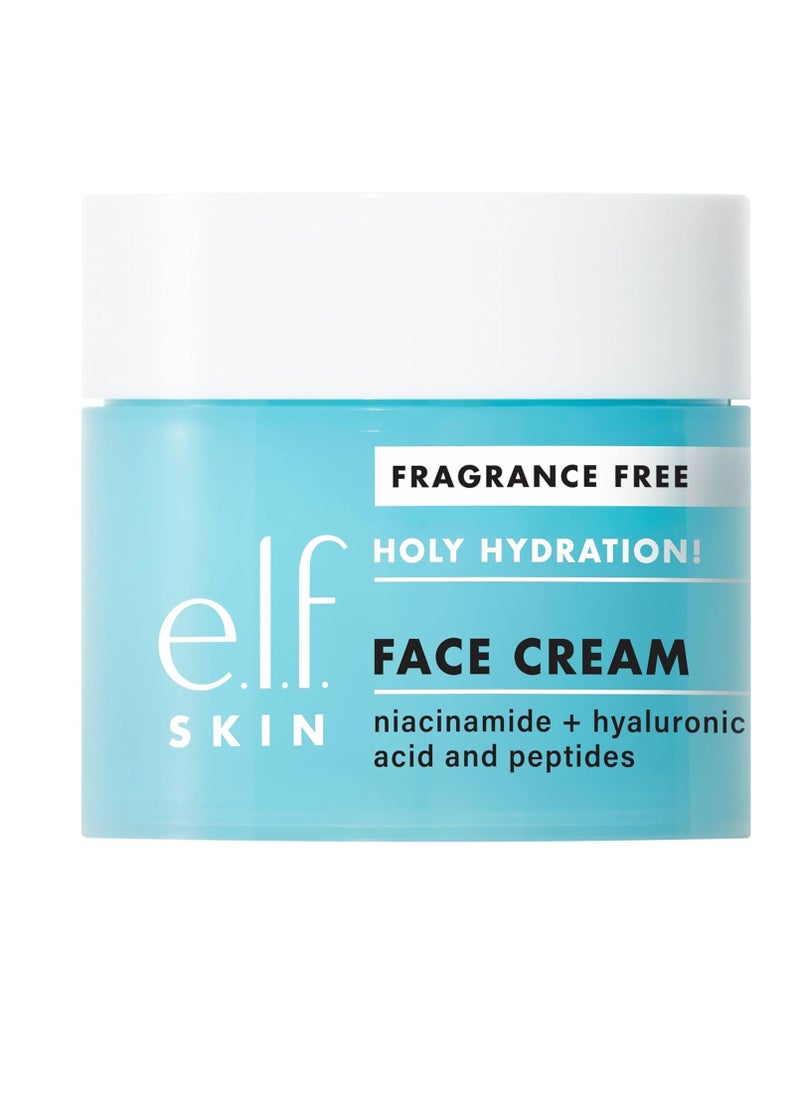 e.l.f. SKIN Holy Hydration! Face Cream, Fragrance Free, Smooth, Non-Greasy, Lightweight, Nourishing, Moisturises, Softens, Absorbs Quickly, Suitable For All Skin Types