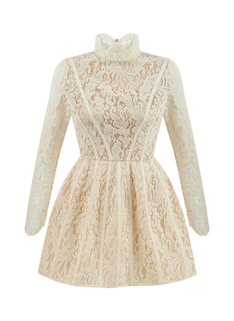 Lace Mini Dress