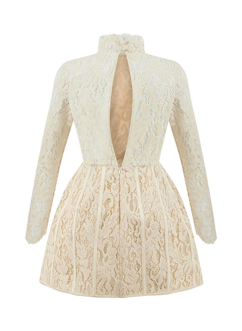 Lace Mini Dress