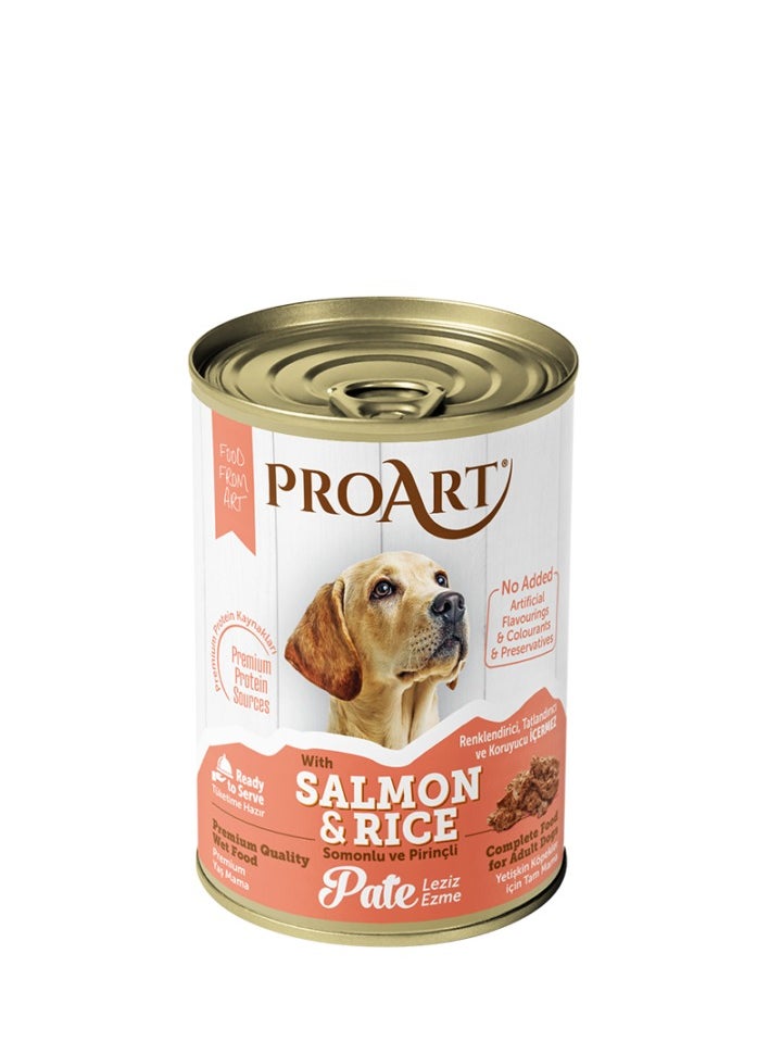 Proart Pate for Adult Dogs with Salmon 400g x 12