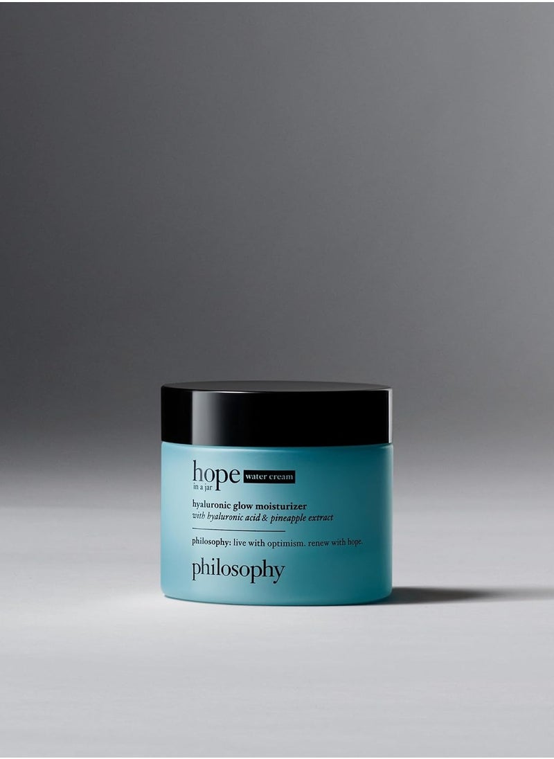 philosophy hope in a jar glow water cream face moisturizer - with hyaluronic acid & pineapple extract provides 72-hour hydration & primes skin for makeup 2 fl oz