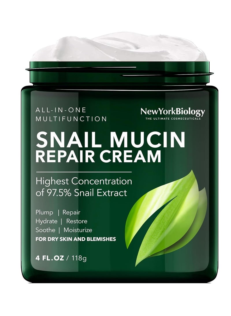 New York Biology 97.5% Korean Snail Mucin Moisturizer - Face Cream 4 Fl Oz - 100 g - Face Moisturizer for Dry Skin - Skin Care Moisturizing and Hydrating Facial Moisturizer