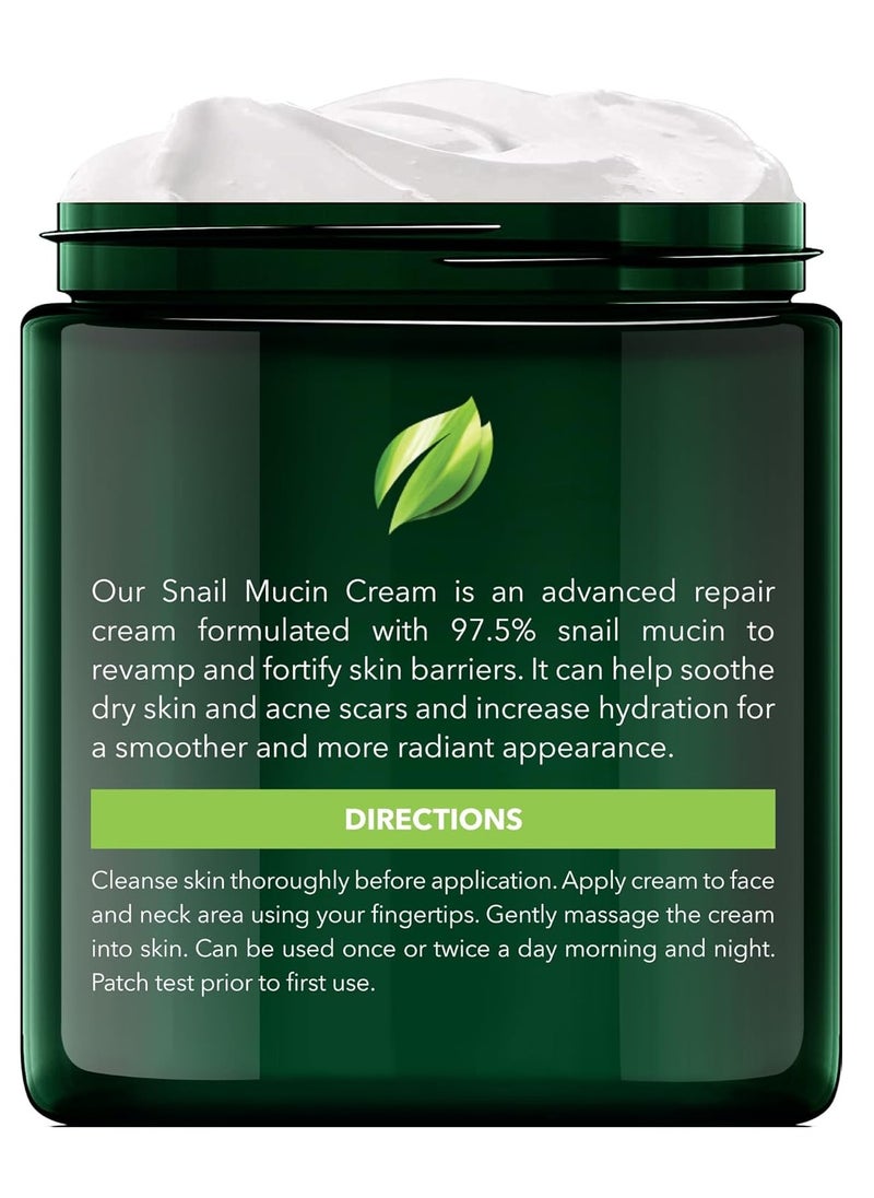 New York Biology 97.5% Korean Snail Mucin Moisturizer - Face Cream 4 Fl Oz - 100 g - Face Moisturizer for Dry Skin - Skin Care Moisturizing and Hydrating Facial Moisturizer