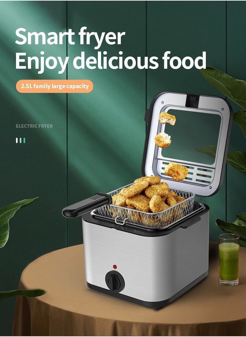 2.5L Electric Fryer Household Small 1000W High Power Multe Function Stainless Steel Fryer Kebab French Fries Machine
