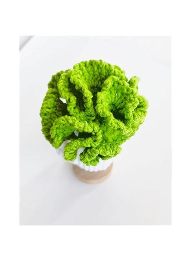 Crochet  Little Cute Cabbage Pickle Ornament, Interesting Cheer Up Gifts for Friends, Decoration Encouragement Products (Green Cabbage)