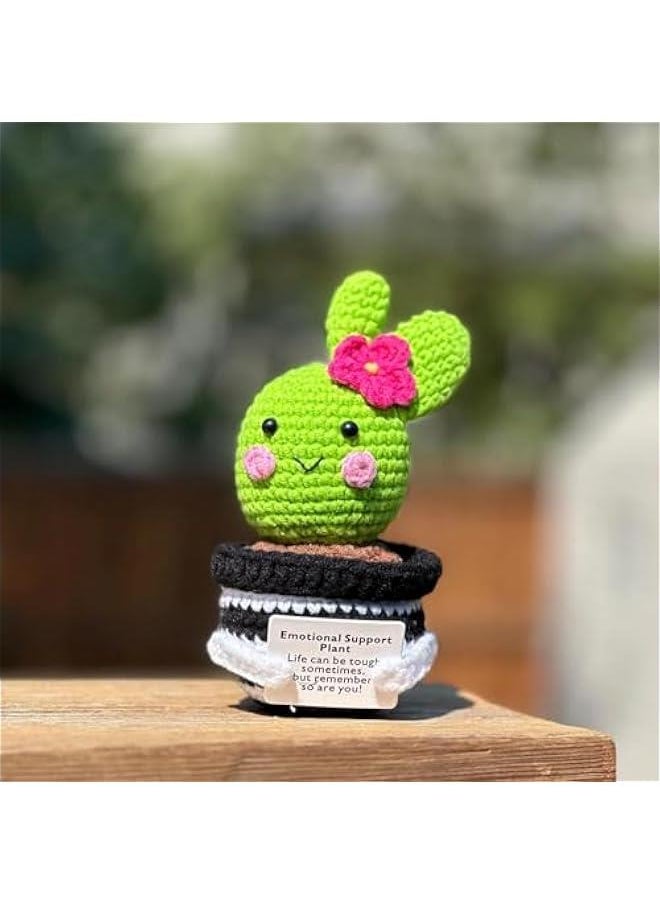 Positive Crochet Cactus,Handmade Emotional Support Crochet Cactus with Positive Card for Women Men Birthday s  Graduation Gifts