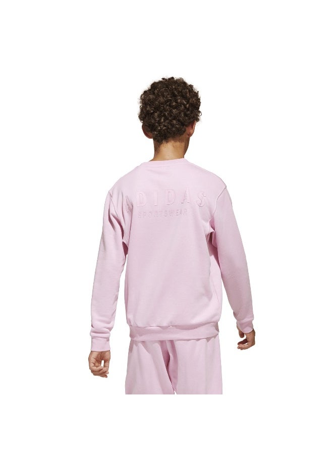 adidas j all szn gfx sweat unisex sweatshirt