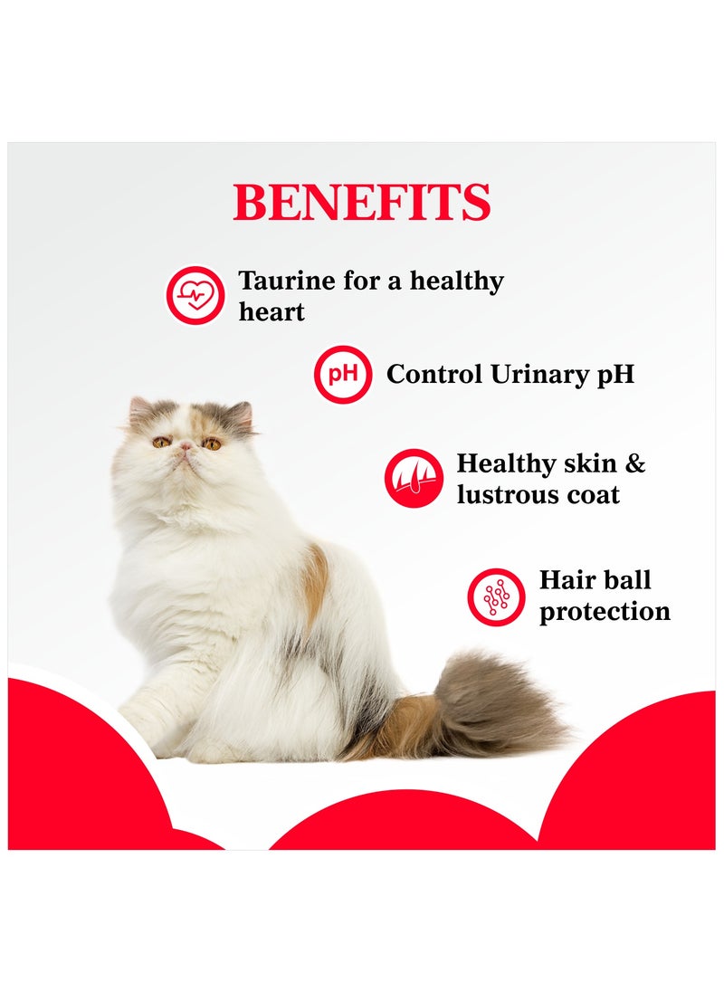 Persian Adult Dry Cat Food  Ocean Fish 7Kg