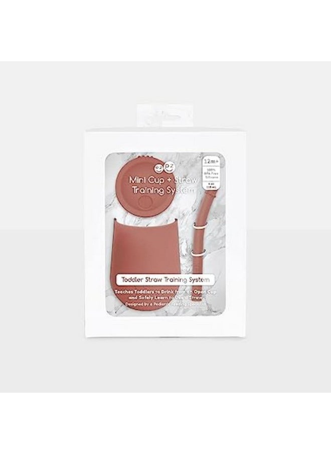ezpz Mini Cup + Straw Training System- 100% Silicone Training Cup for Infants + Toddlers/Baby - Designed by a Pediatric Feeding Specialist - Non-Slip, Weighted Base & Tactile Bumps - 9 Months+(Sienna)