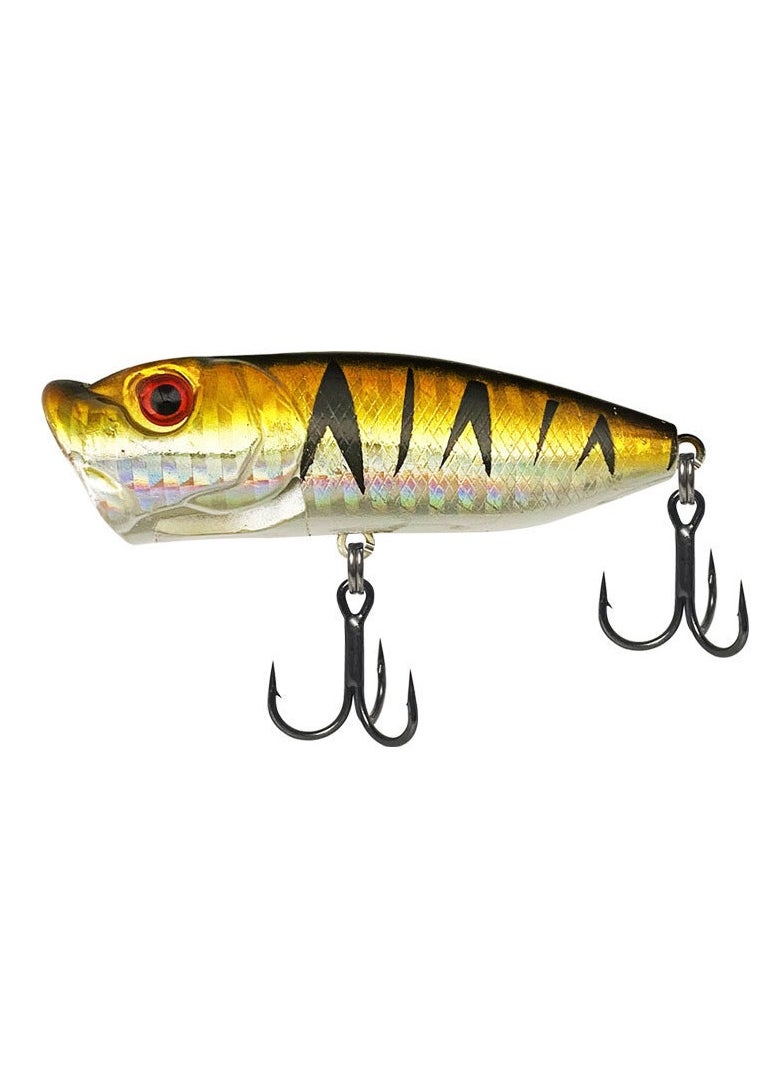 New 5-Piece Set Of 12g Fish Bait