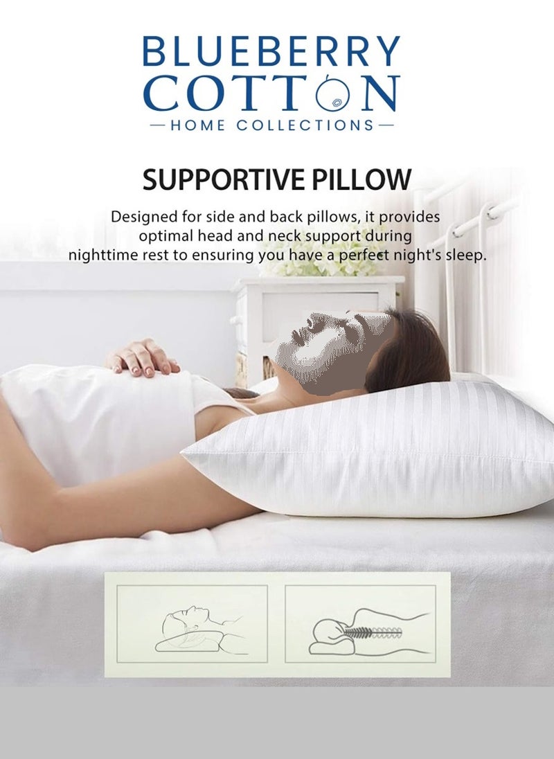 2 Piecce Set Cotton Bed Pillow Stripe White 50X90cm Made in Uae